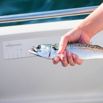 Boat Accessories Essential EVA Fish Ruler with Adhesive Backing Accurate Measurements