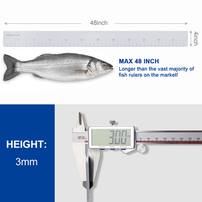 Handline Fishing WOOWAVE EVA Fish Ruler Foam Rolling Adhesive Fish Measuring for Ocean